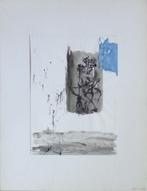 JAN VAERTEN / SKELET / ORIGINEEL + COLLAGE / 65x50cm / SIG, Ophalen of Verzenden