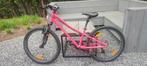 kinderfiets, Fietsen en Brommers, Ophalen, Gebruikt, 20 inch of meer, Specialized