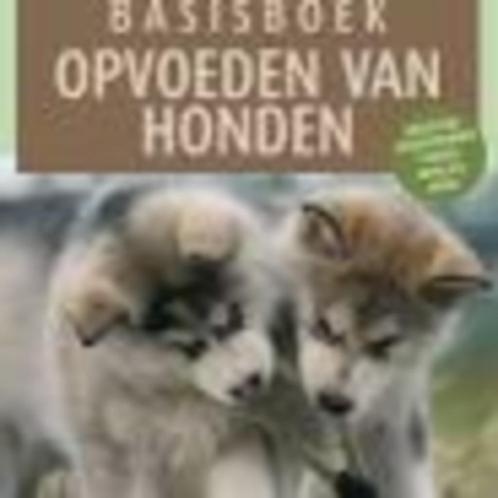 Basisboek opvoeden van honden Arjen van Alphen  343 blz, Boeken, Dieren en Huisdieren, Zo goed als nieuw, Honden, Ophalen of Verzenden