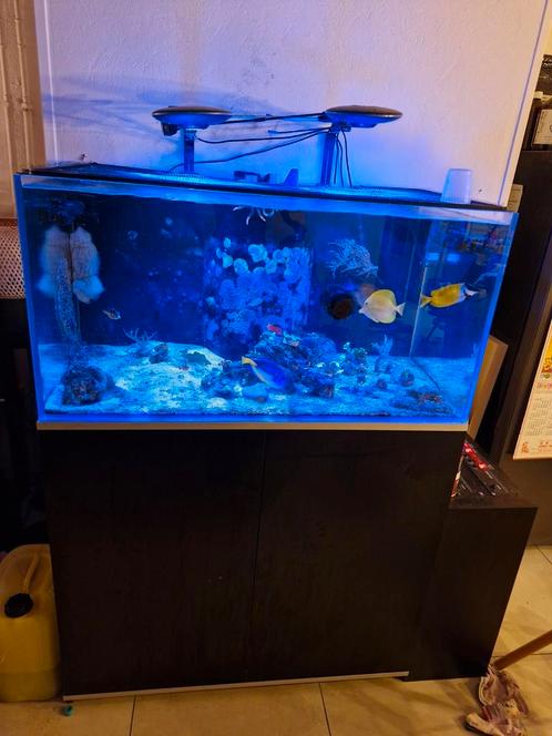 Blue Marine aquarium, Dieren en Toebehoren, Vissen | Aquaria en Toebehoren, Gebruikt, Leeg aquarium, Ophalen