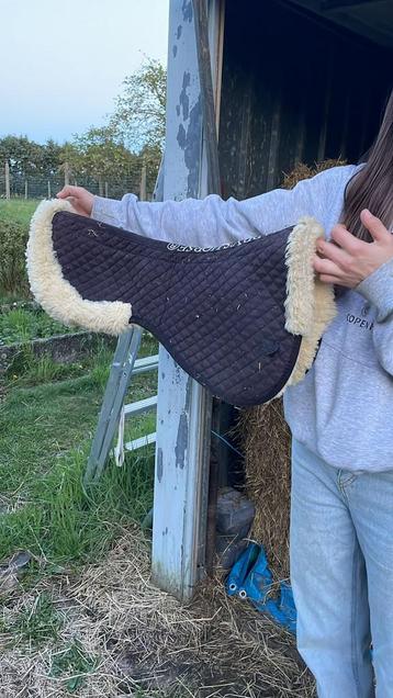 Bontje te koop beschikbaar voor biedingen