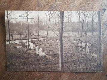 Postkaart Casteau Sous-bois près de la Roquette beschikbaar voor biedingen