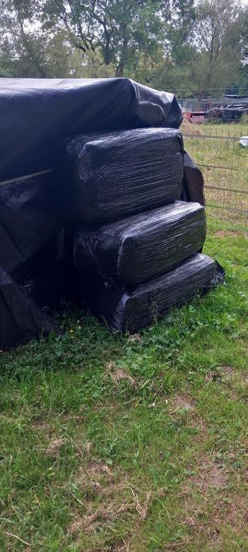 Voordrooghooi - Hooi in plastic beschikbaar voor biedingen