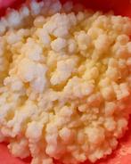 verse gezonde melkkefir te koop  5€ voor 30 gram, Diversen, Levensmiddelen, Ophalen