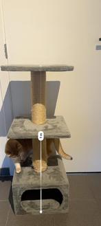 Katten krabpaal gebruikt – 1 meter hoog – 35 cm breed, Dieren en Toebehoren, Ophalen, Gebruikt, Krabpaal