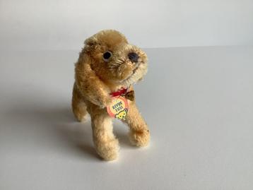 Vintage Steiff hondje “Revue Susi”” beschikbaar voor biedingen