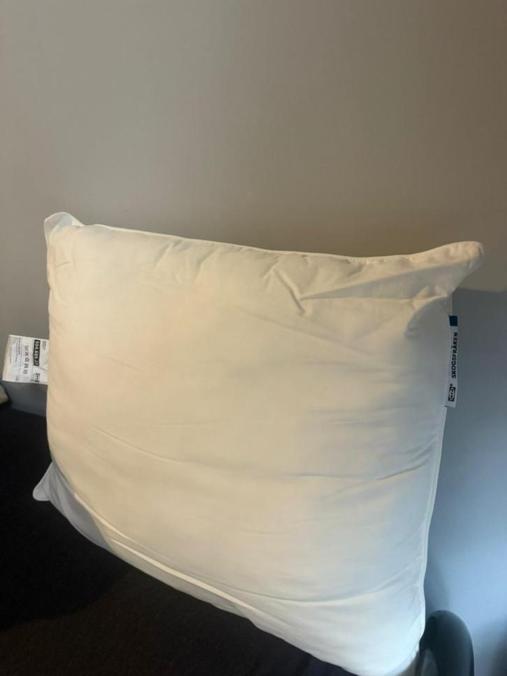 Coussin IKEA SKOGSFRÄKEN — Comme neuf., Maison & Meubles, Sièges-poires, Comme neuf, Enlèvement