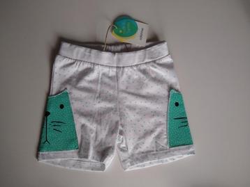 Nieuw witte short 'poes' van Colorinas maat 80 beschikbaar voor biedingen