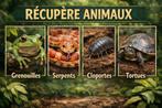 Récupère animaux
