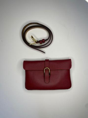 Delvaux Musette heuptas beschikbaar voor biedingen