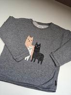 Trui Filou&Friends 6 jaar, Garçon ou Fille, Pull ou Veste, Filou & Friends, Enlèvement