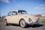 VW Volkswagen Kever 1300 / OLDTIMER / WIT STUURWIEL / LEDER, Auto's, Oldtimers, 4 zetels, Achterwielaandrijving, 32 kW, Volkswagen