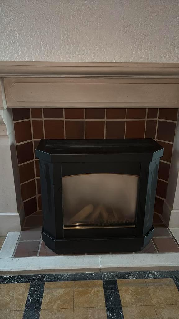 Well straler gaskachel, Huis en Inrichting, Kachels, Zo goed als nieuw, Vrijstaand, Gaskachel, Gas, Ophalen