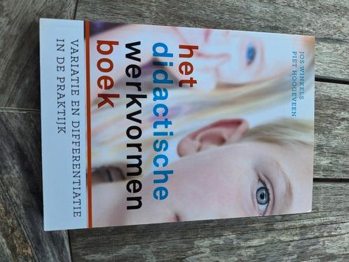Piet Hoogeveen - Het didactische werkvormenboek, Boeken, Wetenschap, Zo goed als nieuw, Ophalen