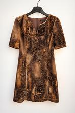 Elegant Caroline Biss Velvet Jurk – Maat 36 – Animal Print, Bruin, Ophalen of Verzenden, Zo goed als nieuw, Knielengte