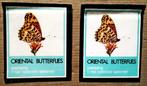 Deux pochettes "Papillons orientaux" - Séchées au soleil, Comme neuf, Autres types, Insecte, Enlèvement ou Envoi