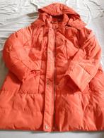 Nieuwe winterjas, Taille 46/48 (XL) ou plus grande, Enlèvement, MS Mode, Rouge