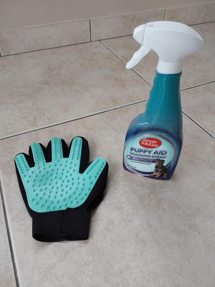 Zindelijkheidsspray en washandschoen voor puppy’s 🐾, Divers, Divers Autre, Enlèvement