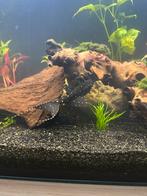 L155 +-12cm zonder lier met +-16cm