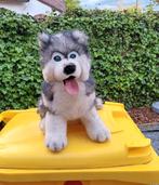 Husky Puppy 40 cm, Zo goed als nieuw, Verzenden, Hond of Kat