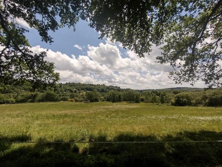 Paint hengst gezocht, Dieren en Toebehoren, Paarden, Hengst, Zadelmak, Minder dan 160 cm, Westernpaard, Met stamboom, Gechipt