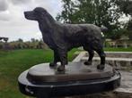 BRONZEN JACHTHOND (springerspaniel) OP BASIS, Antiek en Kunst, Ophalen of Verzenden, Brons