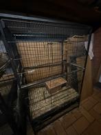Dieren kooi chinchilla’s fretten vogels, Boeken, Ophalen, Zo goed als nieuw, Konijnen of Knaagdieren