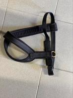 Harnais + ceinture et ceinture de canicross, Animaux & Accessoires, Comme neuf, Laisse pour chien, Enlèvement ou Envoi