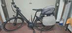 Koga Element Elektrische Damesfiets Bosh middenmotor 65NM, Gebruikt, Versnellingen, 50 tot 53 cm, Ophalen
