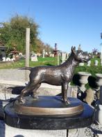PRACHTIGE BULL TERRIER IN BRONS OP EEN MARMEREN SOKKEL, Ophalen of Verzenden, Brons