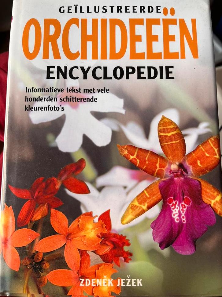 Zdenek Jezek - Geillustreerde orchideeen encyclopedie, Boeken, Wonen en Tuinieren, Zo goed als nieuw, Ophalen of Verzenden