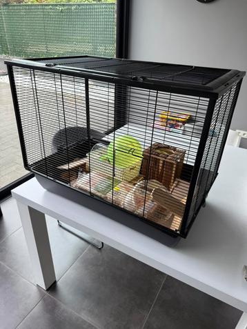 Kooi knaagdieren 80x50x60, Enlèvement, Utilisé, Cage