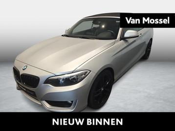 BMW 2-serie Cabrio Cabrio beschikbaar voor biedingen