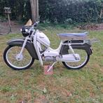 Novy special 1961, Ophalen