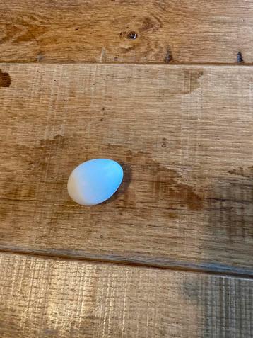 Broedeieren krielkippen, Dieren en Toebehoren, Pluimvee, Geslacht onbekend, Kip