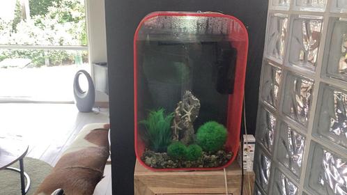 Aqarium soort Biorb, Dieren en Toebehoren, Vissen | Aquaria en Toebehoren, Gebruikt, Verlichting of Verwarming, Ophalen