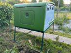 Poulailler Omlet Cube Vert - porte automatique, Animaux & Accessoires, Enlèvement, Poulailler