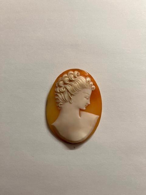 Antieke schelpcamee – handgesneden erfstuk – 5 cm, Bijoux, Sacs & Beauté, Bijoux anciens, Autres types, Autres matériaux, Enlèvement ou Envoi
