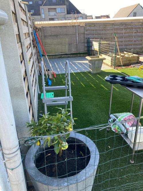 Bakkerij over te nemen, Immo, Huizen en Appartementen te koop, Provincie West-Vlaanderen, 500 tot 1000 m², Woning met bedrijfsruimte
