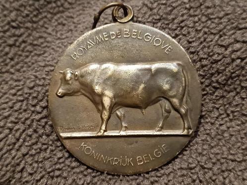 medaille Belgie - Ministerie van Landbouw - 1965, Postzegels en Munten, Penningen en Medailles, Brons, Ophalen of Verzenden