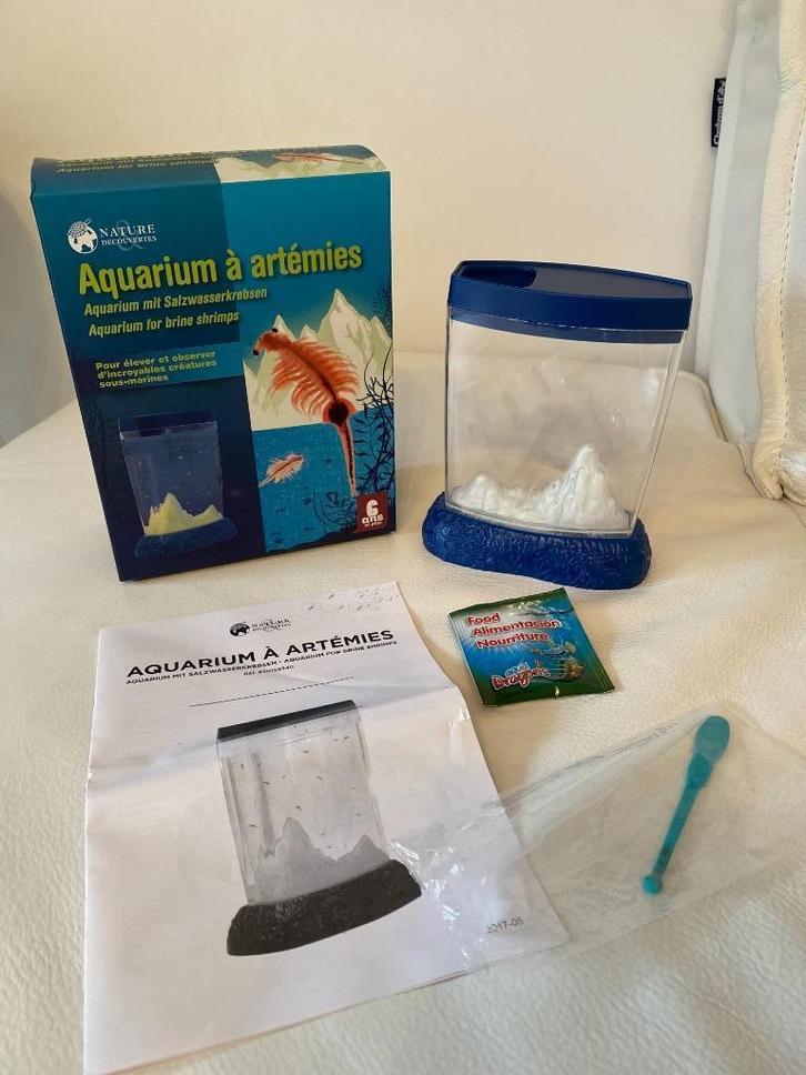 Aquarium à artémies Nature & découverte :, Animaux & Accessoires, Poissons | Aquariums & Accessoires, Comme neuf, Enlèvement ou Envoi