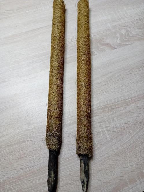 Plantenstokken voor klimplanten, Huis en Inrichting, Kamerplanten, Overige soorten, 100 tot 150 cm, Ophalen