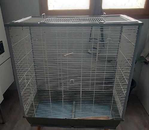 Grande cage perruche + 4 calopsittes et accessoires, Dieren en Toebehoren, Vogels | Hokken en Kooien, Zo goed als nieuw, Ophalen