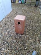 broedblokken, Perruche