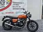 TRIUMPH STREET TWIN, Bedrijf