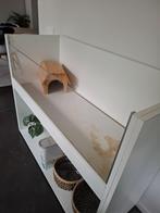 Caviahok, Dieren en Toebehoren, Ophalen, Gebruikt, Hok, Hamster