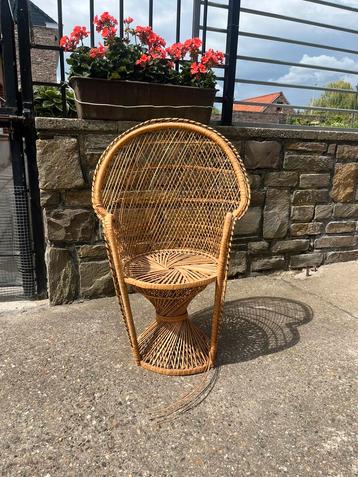 Kinder Peacock Chair/pauwenstoel – beschadigd (zie foto's) beschikbaar voor biedingen