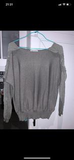 Grijze trui, Kleding | Dames, Truien en Vesten, Ophalen of Verzenden, Gedragen, Maat 42/44 (L), Grijs