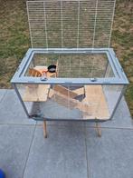 Kooi (binnen-, reis-, buitenkooi en huisje) cavia/konijn, Dieren en Toebehoren, Ophalen, Gebruikt, Kooi, Cavia