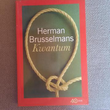 KWANTUM - HERMAN BRUSSELMANS  beschikbaar voor biedingen